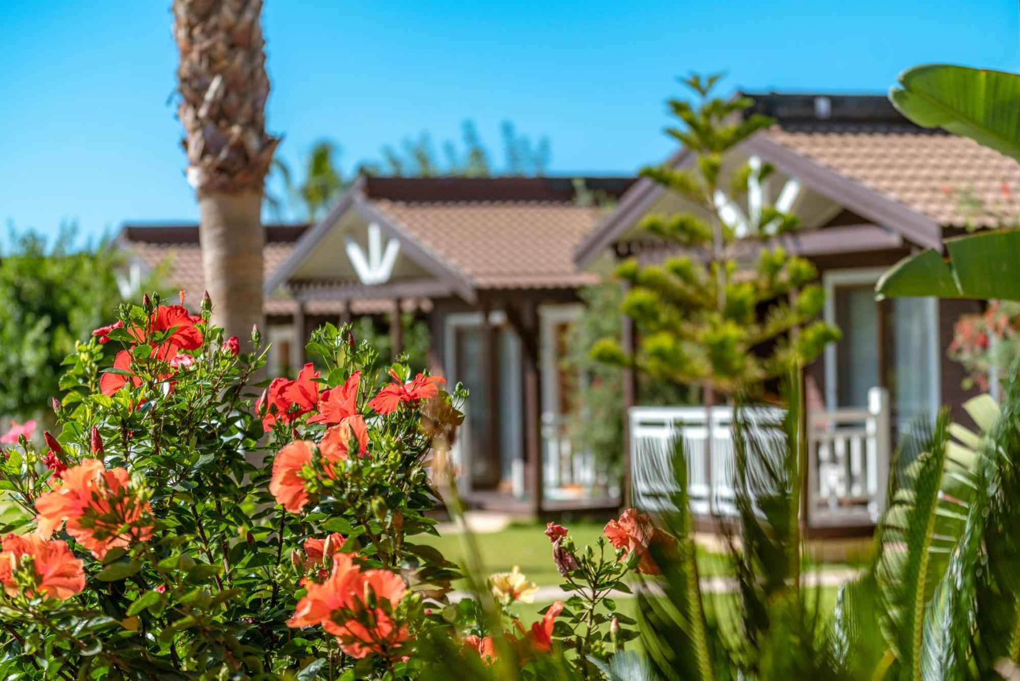 Sedir Park - Beach Bungalow คาร์ยิจัค ภายนอก รูปภาพ