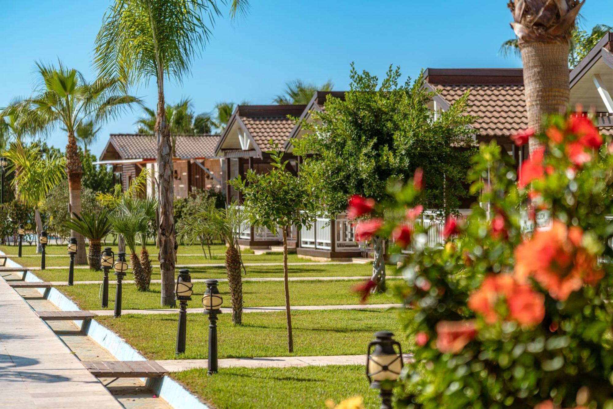 Sedir Park - Beach Bungalow คาร์ยิจัค ภายนอก รูปภาพ