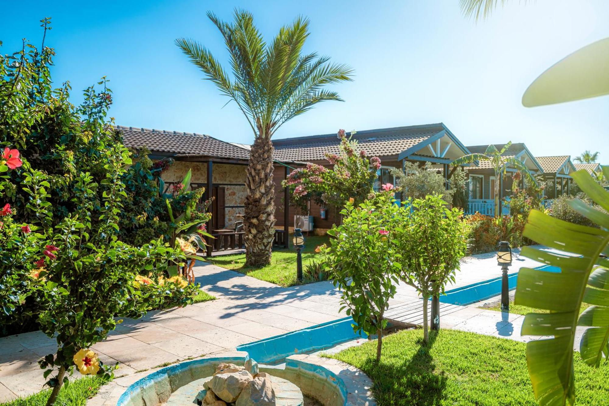 Sedir Park - Beach Bungalow คาร์ยิจัค ภายนอก รูปภาพ