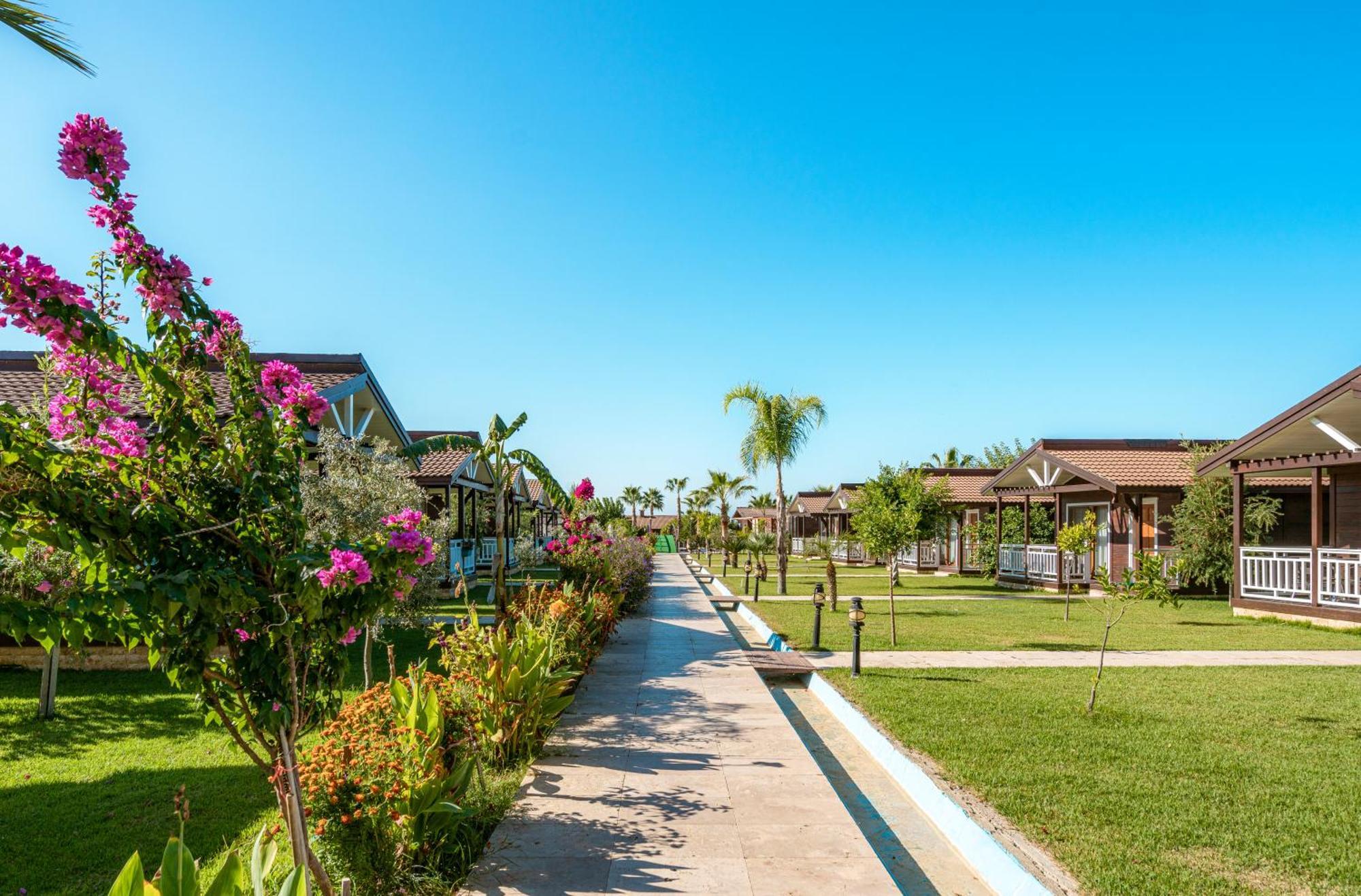 Sedir Park - Beach Bungalow คาร์ยิจัค ภายนอก รูปภาพ