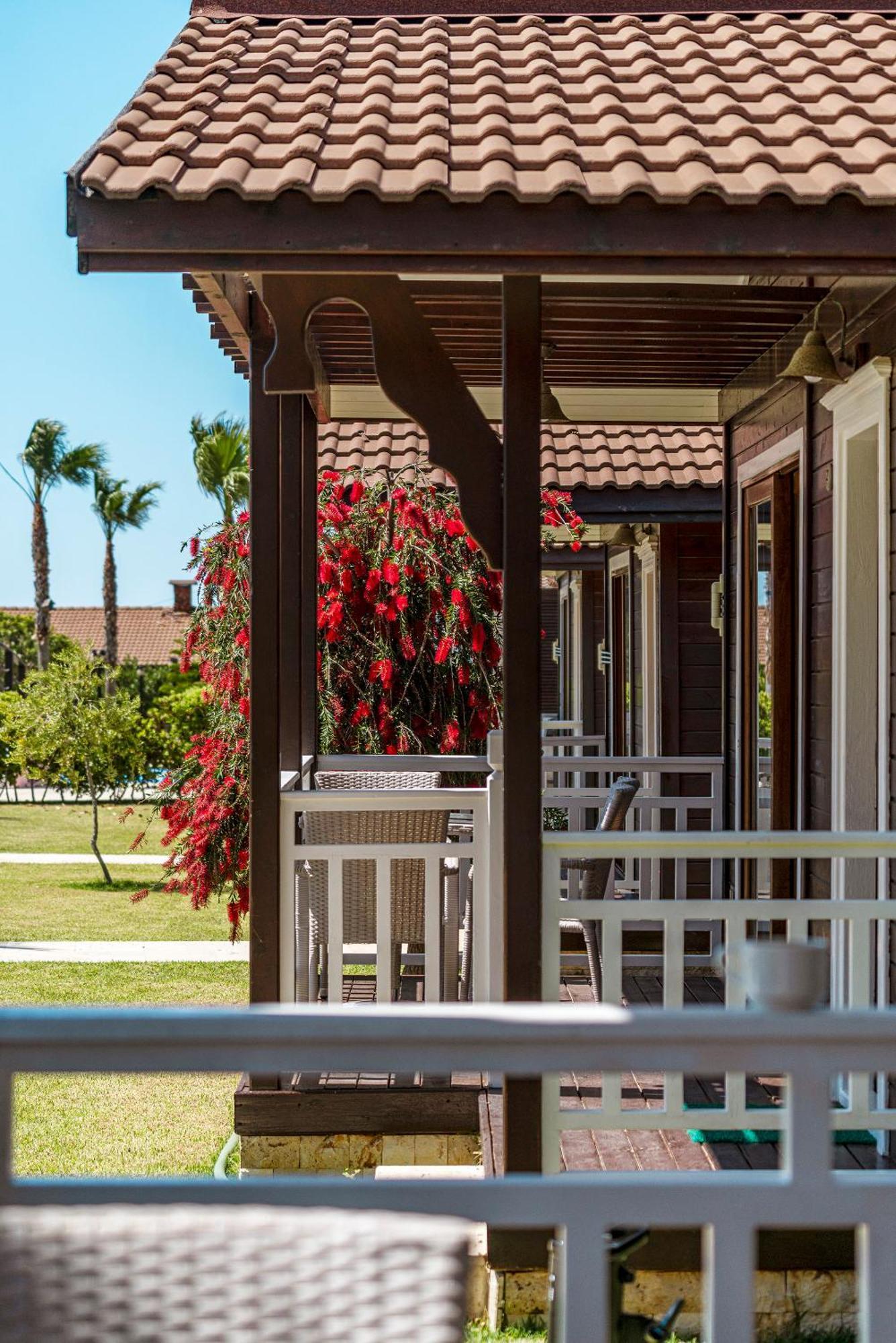 Sedir Park - Beach Bungalow คาร์ยิจัค ภายนอก รูปภาพ