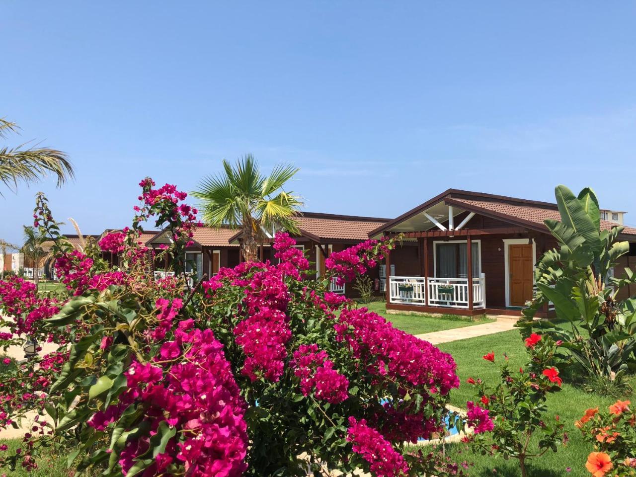 Sedir Park - Beach Bungalow คาร์ยิจัค ภายนอก รูปภาพ